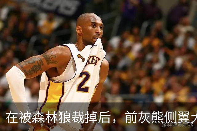 在被森林狼裁掉后，前灰熊侧翼大将或成为热火第15人的重点目标？